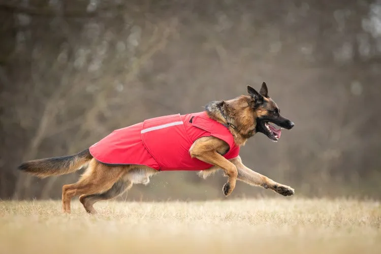 GERMAN SHEPHERD SOFTSHELL DOG COAT / MADE TO ORDER