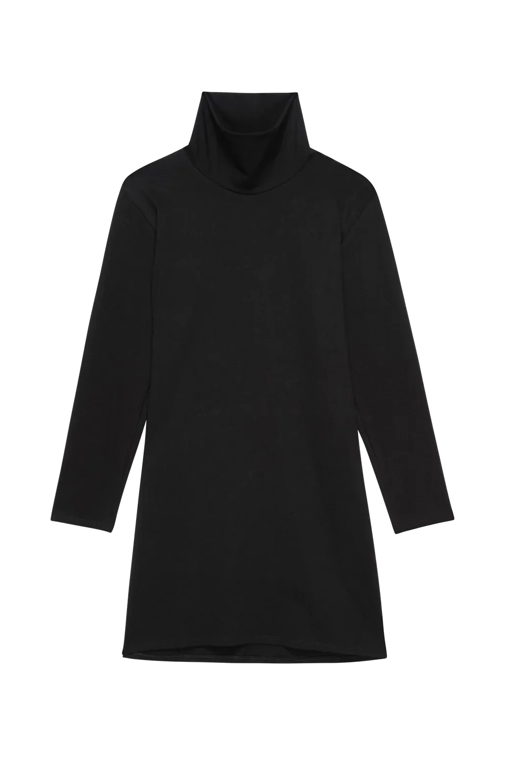 Joni Turtleneck Dress