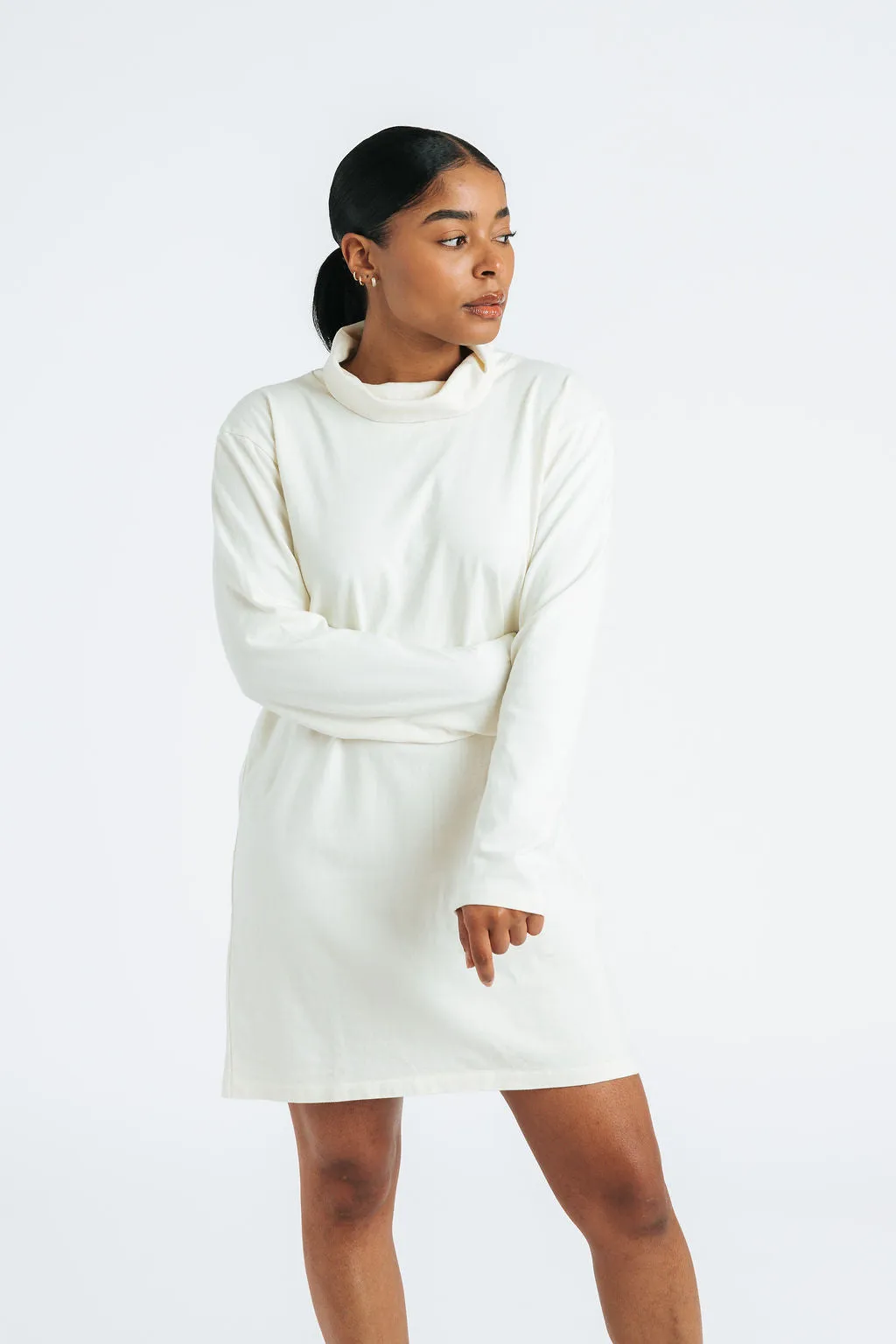 Joni Turtleneck Dress